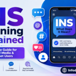 ins meaning